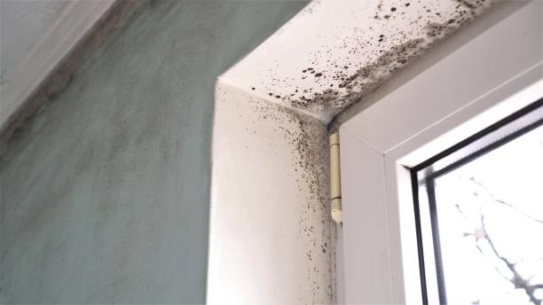 Water Damage Restoration in Cherokee, OK