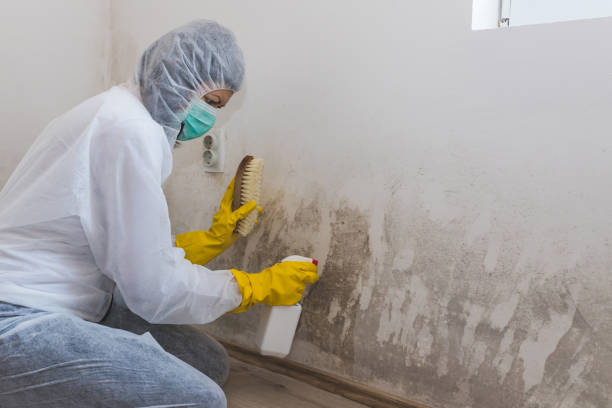 Best Residential Mold Removal  in Cheree, OK