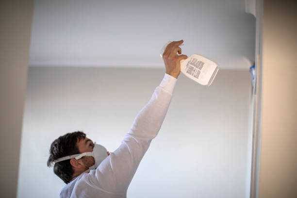 Best Mold Inspection  in Cheree, OK