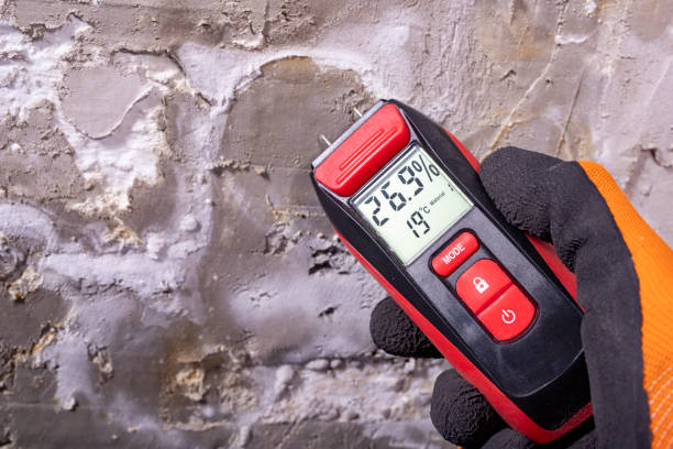 Best Mold Testing  in Cheree, OK