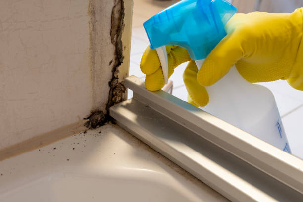 Best Professional Mold Removal  in Cheree, OK