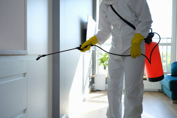 Best Best Mold Removal Companies  in Cheree, OK