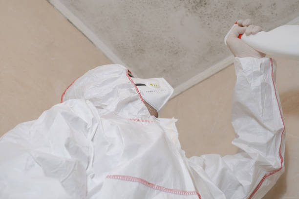 Best Water Damage Restoration  in Cheree, OK