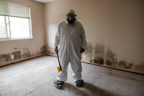 Best Local Mold Removal Service  in Cheree, OK
